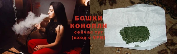 соль ск Новозыбков