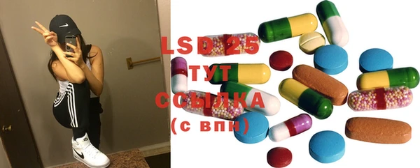 соль ск Новозыбков