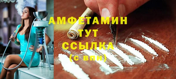 соль ск Новозыбков