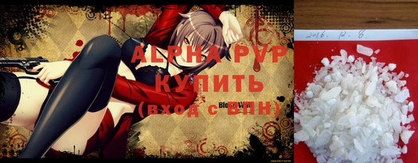 соль ск Новозыбков
