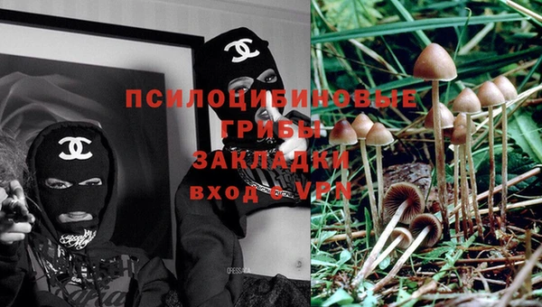 соль ск Новозыбков