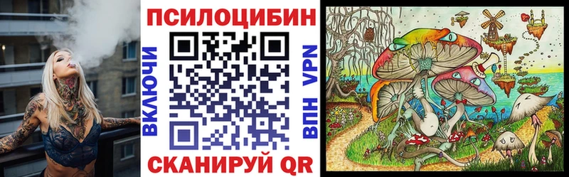 Псилоцибиновые грибы Psilocybe  Костомукша 