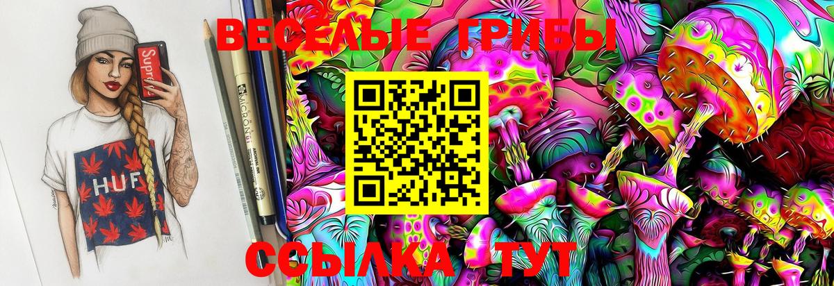 Костомукша  Псилоцибиновые грибы Magic Shrooms  Вход с VPN  Псилоцибиновые грибы Psilocybe 