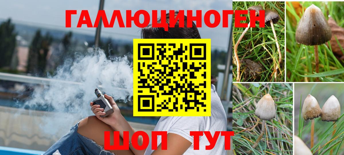 Псилоцибиновые грибы Psilocybe Костомукша