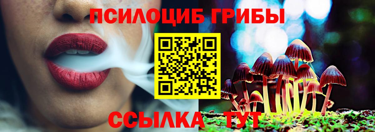 Галлюциногенные грибы Psilocybe  купить закладку  Костомукша  Галлюциногенные грибы мухоморы 